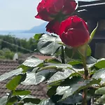 Le Due Terrazze Brenzone