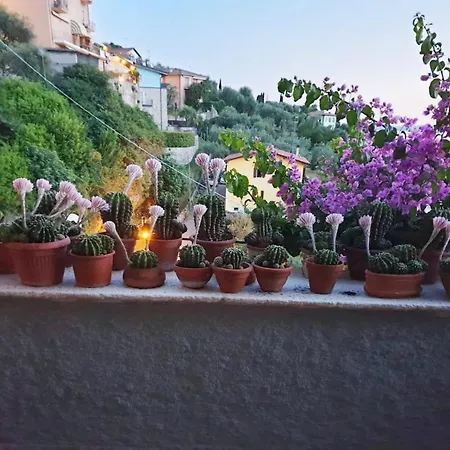 Le Due Terrazze ברנצונה סול גארדה