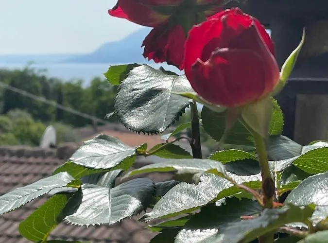 Le Due Terrazze Brenzone sul Garda